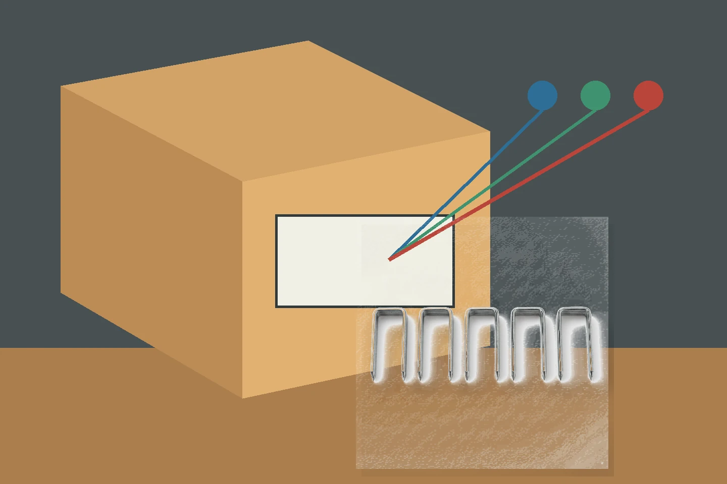Export staple carton with inspection lines tracing its label back to product evidence